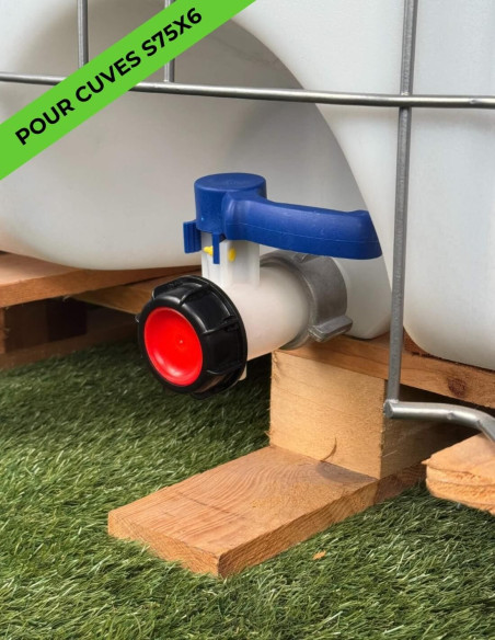 Vanne papillon 2" - écrou S75X6 et sortie S60X6 - montée sur une cuve Schütz