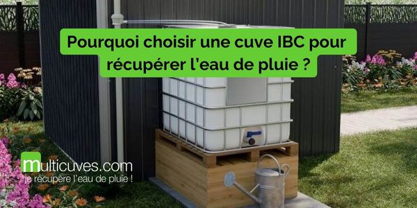 Pourquoi choisir une cuve IBC pour récupérer l’eau de pluie ?