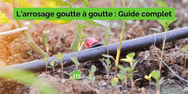 L’arrosage goutte à goutte : Guide complet