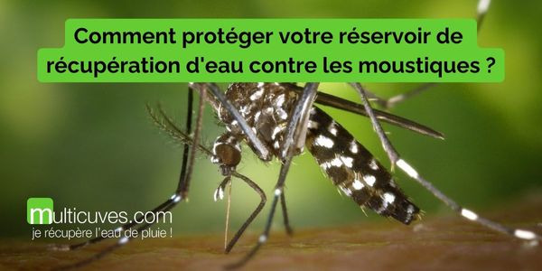 Appliquez ces conseils pour protéger votre réservoir de récupération d'eau contre les moustiques